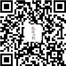 公众号二维码
